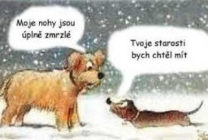 Vtipné obrázky 3